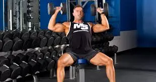 Best Workouts for Muscle Gain: