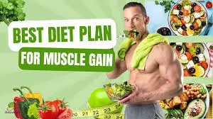 muscle gain diet plan