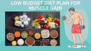 Benefits of a Muscle Gain Diet Plan